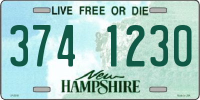 NH license plate 3741230