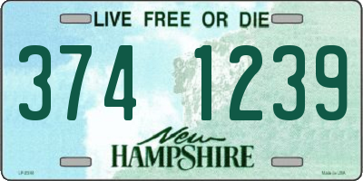 NH license plate 3741239