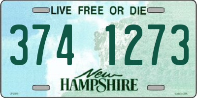 NH license plate 3741273