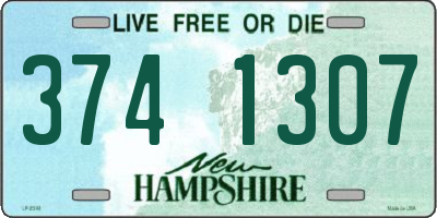 NH license plate 3741307