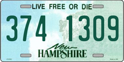 NH license plate 3741309
