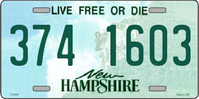 NH license plate 3741603