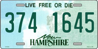 NH license plate 3741645