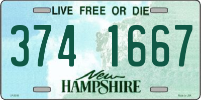 NH license plate 3741667