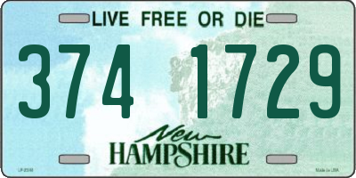 NH license plate 3741729