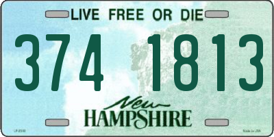 NH license plate 3741813