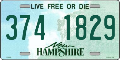 NH license plate 3741829