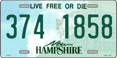 NH license plate 3741858