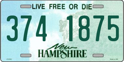 NH license plate 3741875