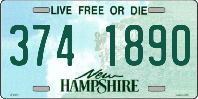 NH license plate 3741890