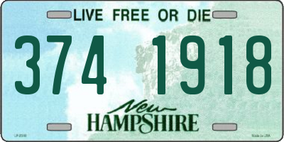 NH license plate 3741918