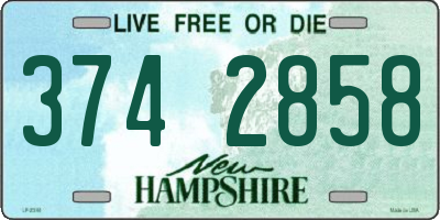 NH license plate 3742858