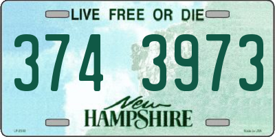 NH license plate 3743973