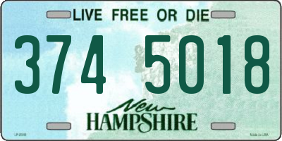 NH license plate 3745018