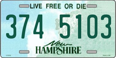 NH license plate 3745103