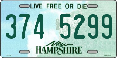 NH license plate 3745299