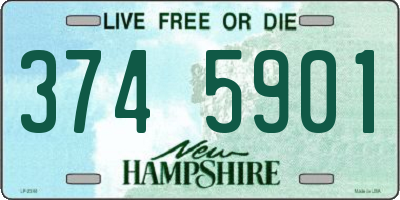 NH license plate 3745901