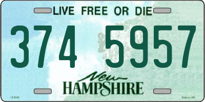 NH license plate 3745957