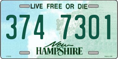 NH license plate 3747301