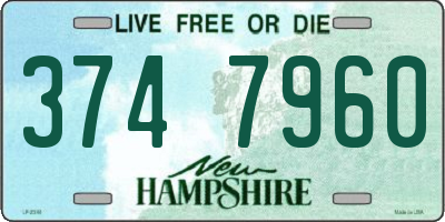 NH license plate 3747960