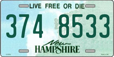 NH license plate 3748533