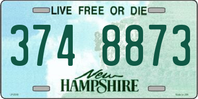 NH license plate 3748873