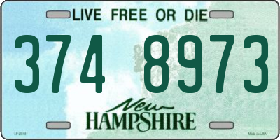 NH license plate 3748973
