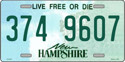 NH license plate 3749607
