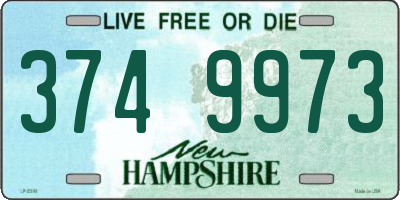 NH license plate 3749973