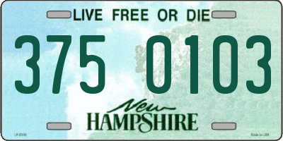 NH license plate 3750103
