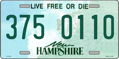 NH license plate 3750110