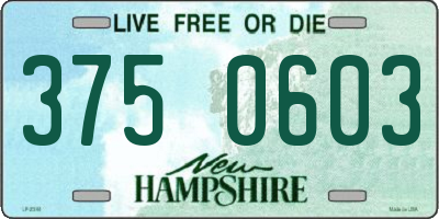 NH license plate 3750603