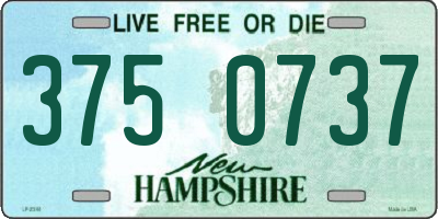 NH license plate 3750737