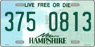 NH license plate 3750813