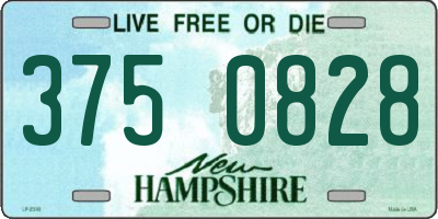 NH license plate 3750828