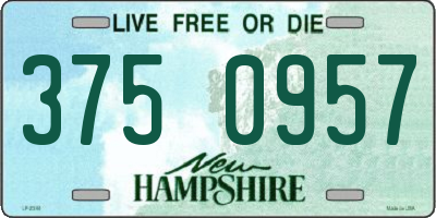 NH license plate 3750957