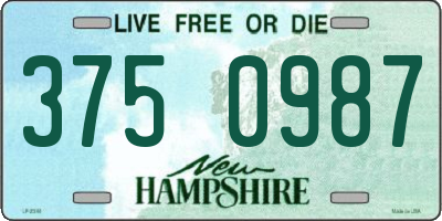 NH license plate 3750987