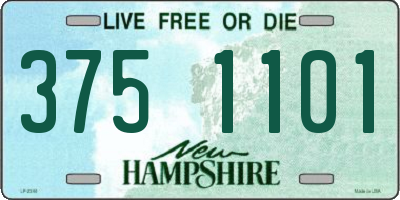 NH license plate 3751101