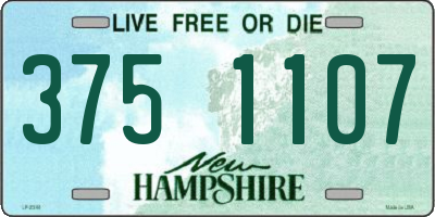 NH license plate 3751107