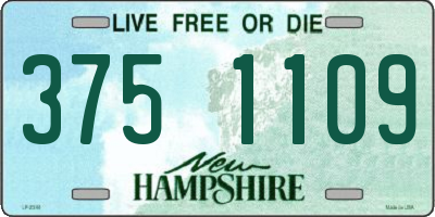 NH license plate 3751109