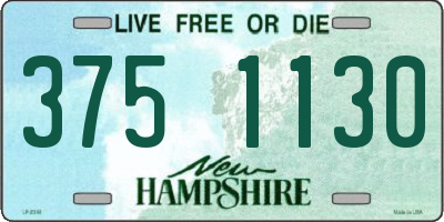 NH license plate 3751130
