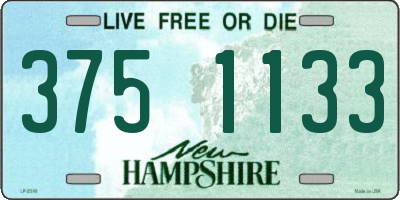 NH license plate 3751133