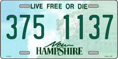 NH license plate 3751137