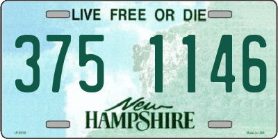 NH license plate 3751146