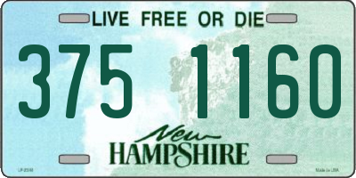 NH license plate 3751160