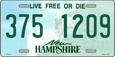 NH license plate 3751209