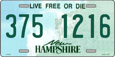 NH license plate 3751216