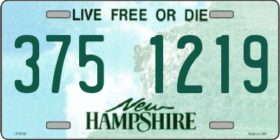 NH license plate 3751219