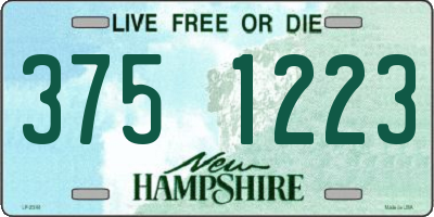 NH license plate 3751223