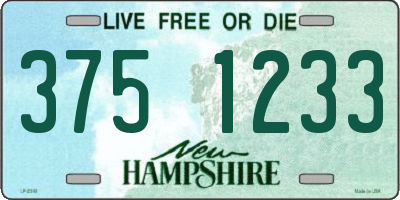 NH license plate 3751233